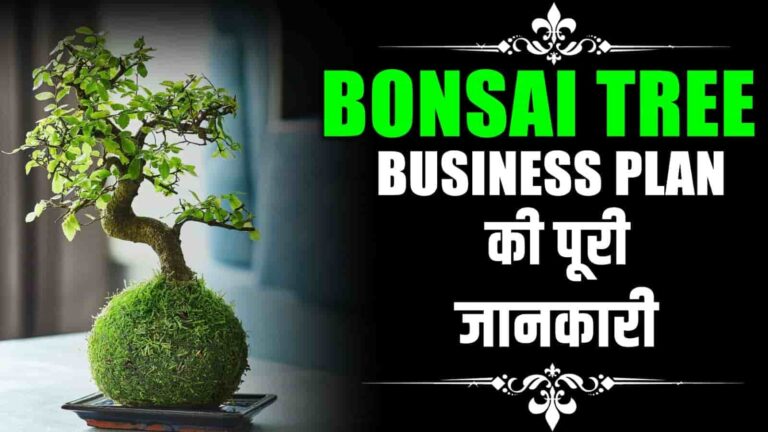 Bonsai Tree Business Idea