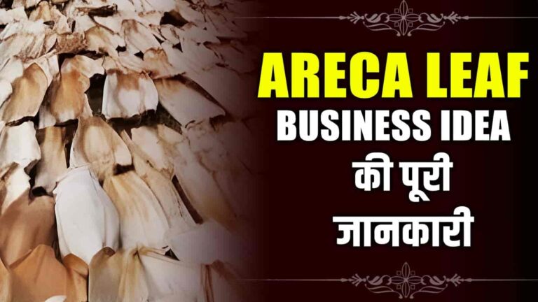 Areca Leaf Business Plan Complete Information