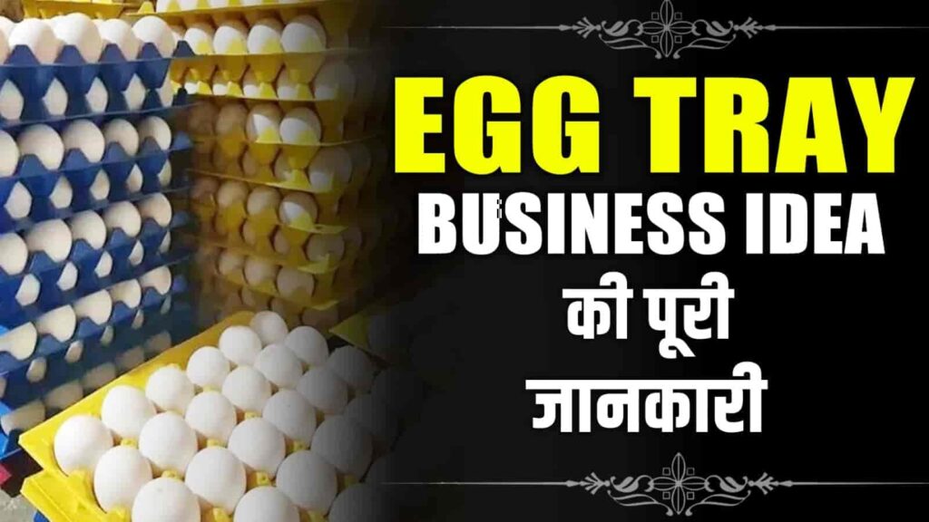 Egg Tray Business Idea