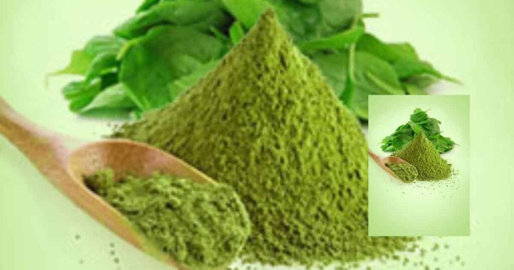 Vegetable Powder Business idea in hindi  with low investment