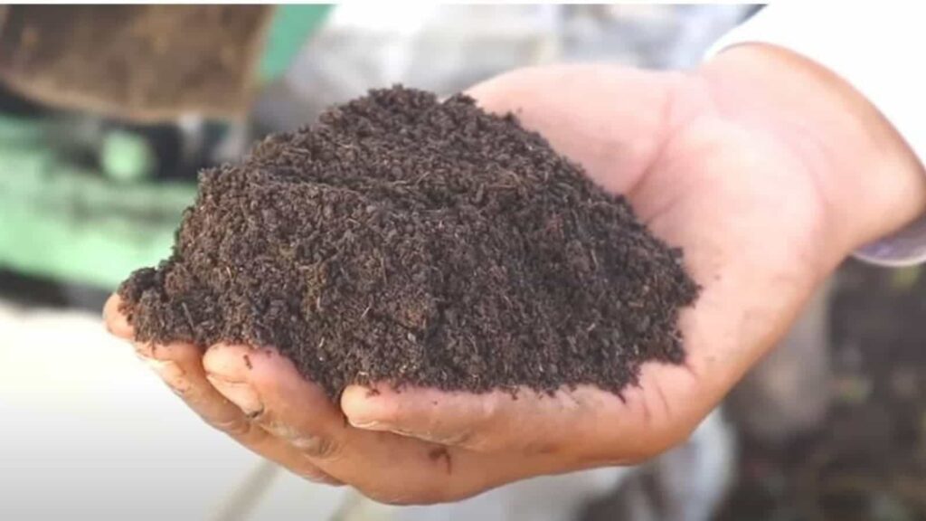 Vermi Compost Agriculture Business Ideas in Hindi