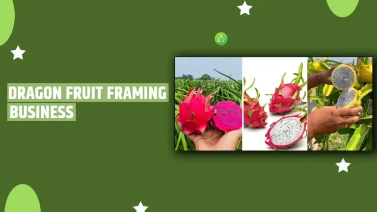 Dragon Fruit Farming Business